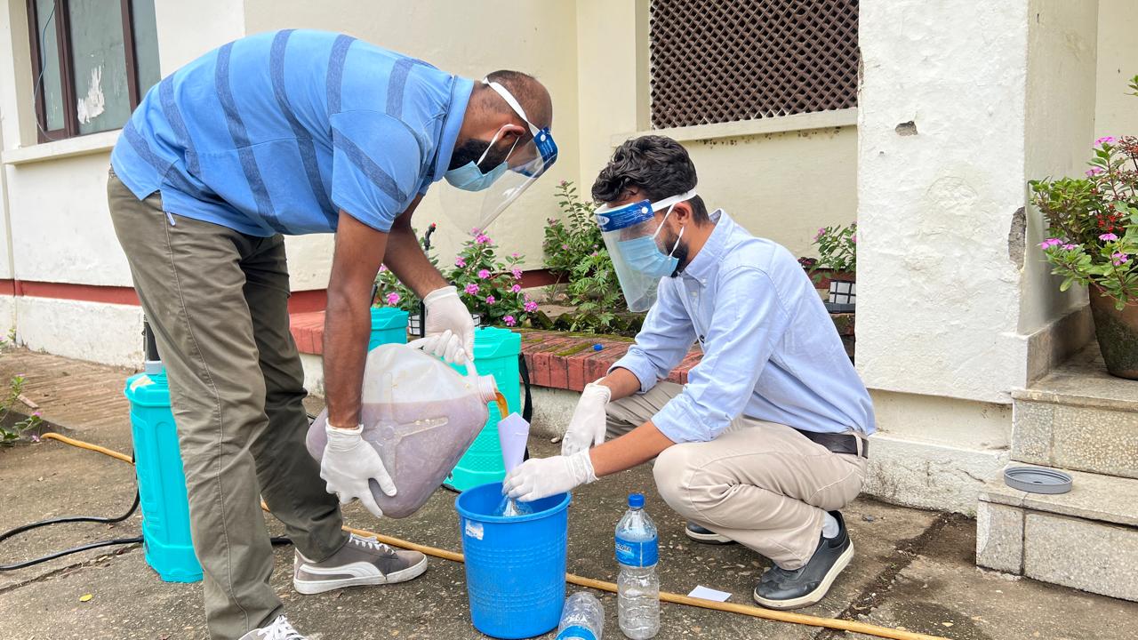 Mosquito Management