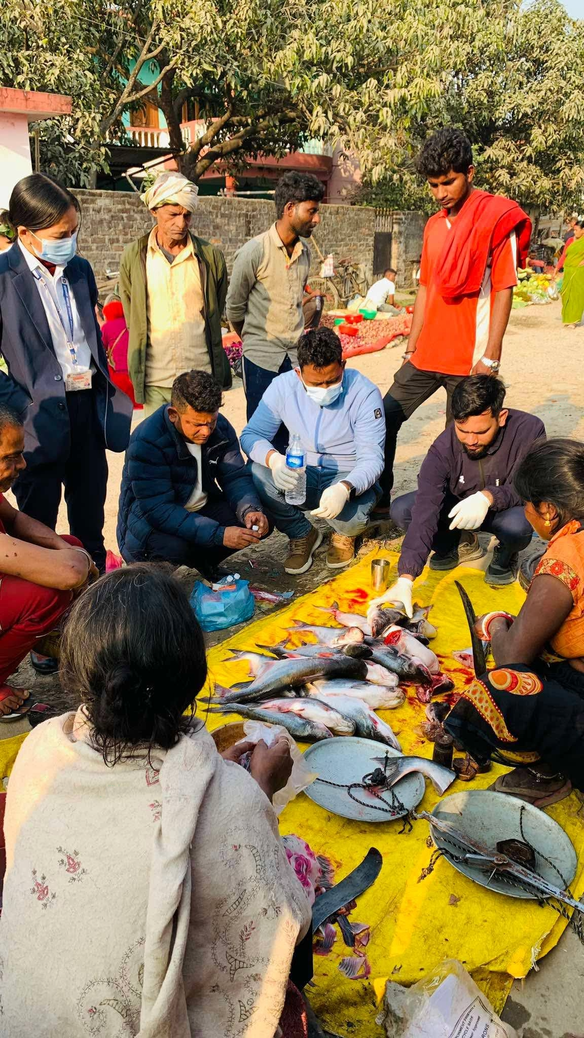 साप्ताहिक लाग्ने हाटबजारमा खरिद/बिक्रिका लागि ल्याईएका माछामा  फर्मालिन जाँच ।