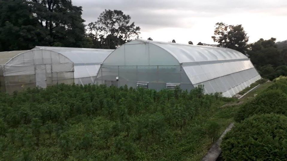 केन्द्रको मातहातमा रहेका ग्रीनहाउसहरु
