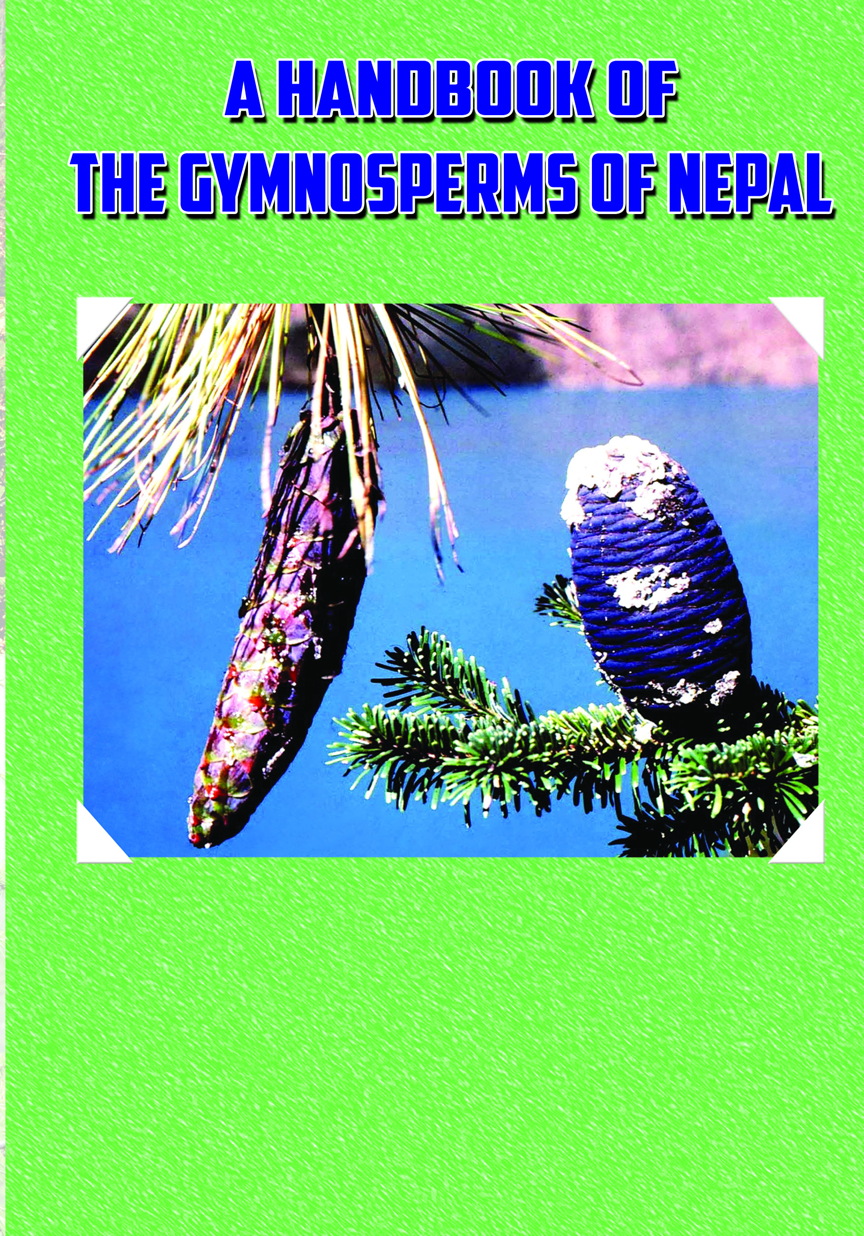 A Handbook of the Gymnosperms of Nepal