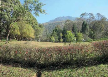 उद्यान परिचय: नेपालको राष्ट्रिय वनस्पति उद्यान