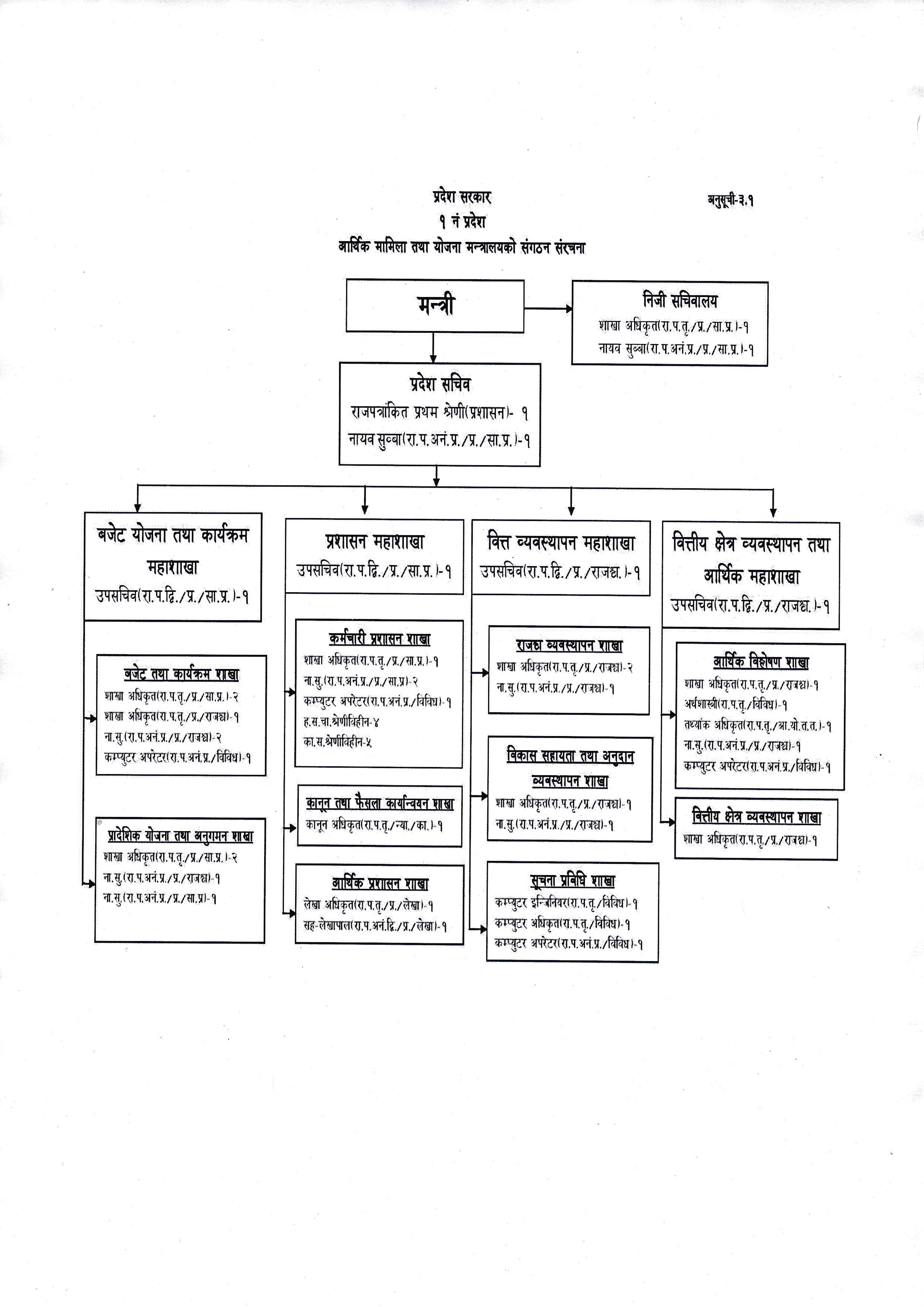 Organization Structure