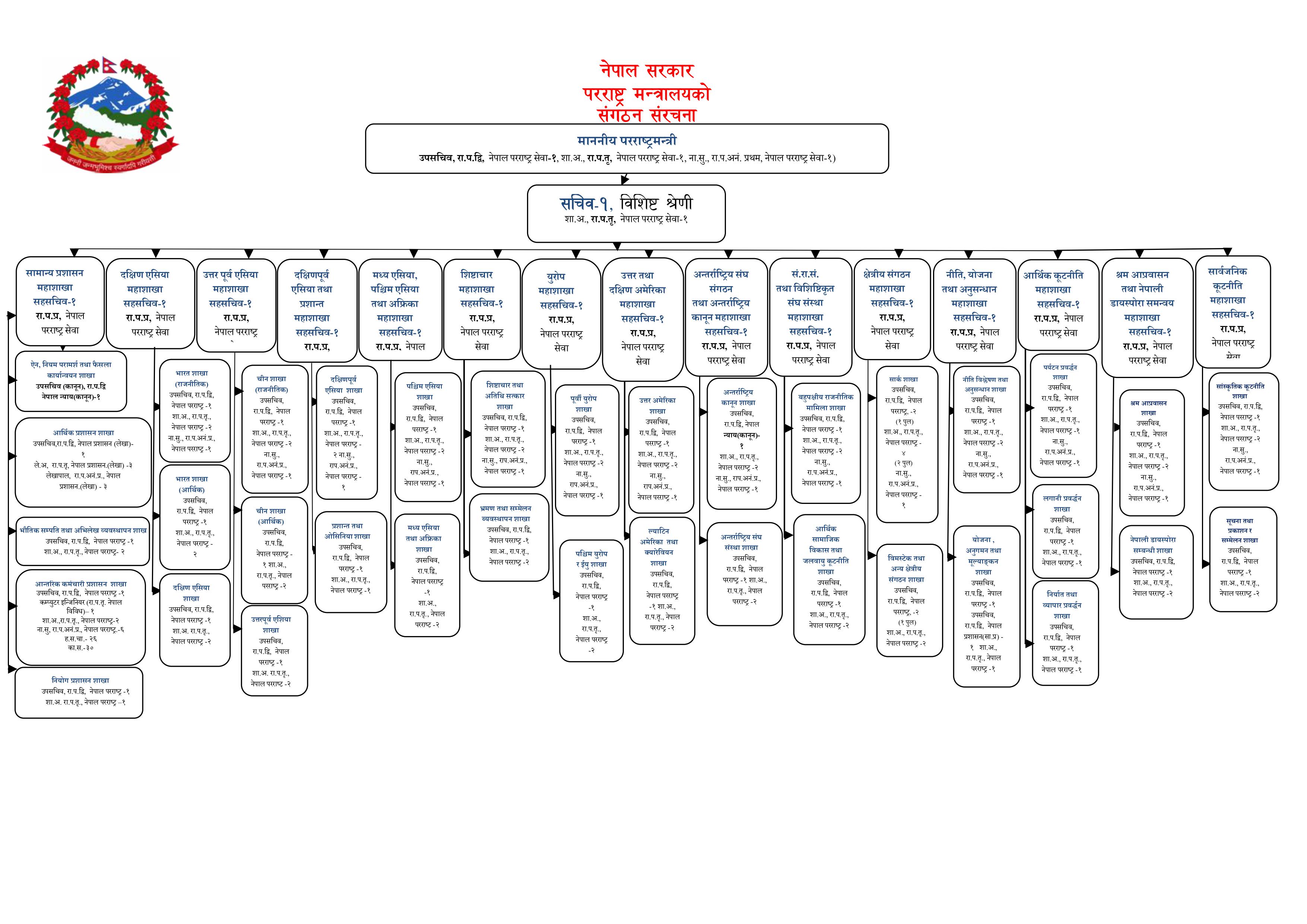 संगठन संरचना Organization Chart