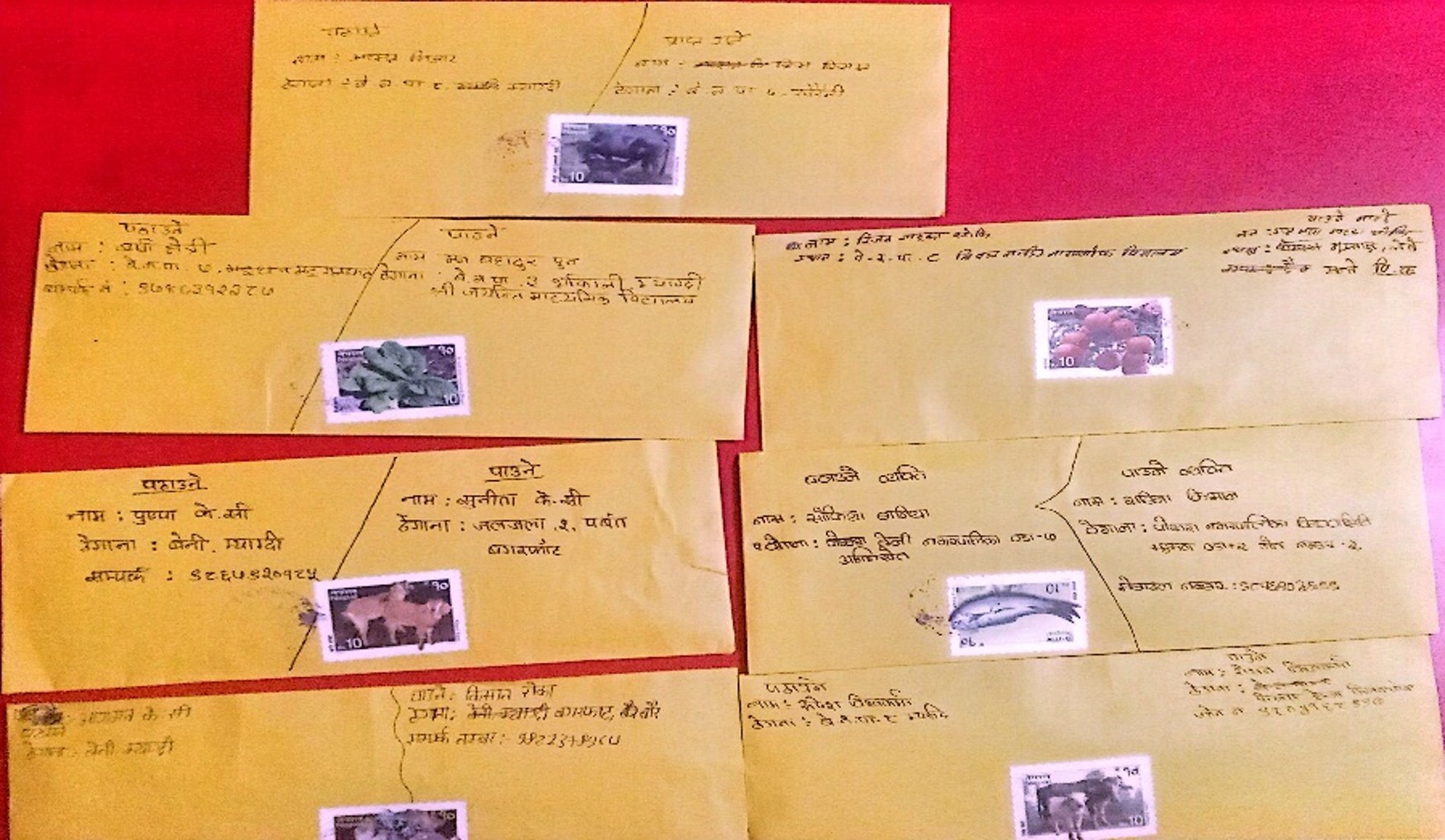 माध्यमिक स्तरीय चिठ्ठी लेखन प्रतियोगिता