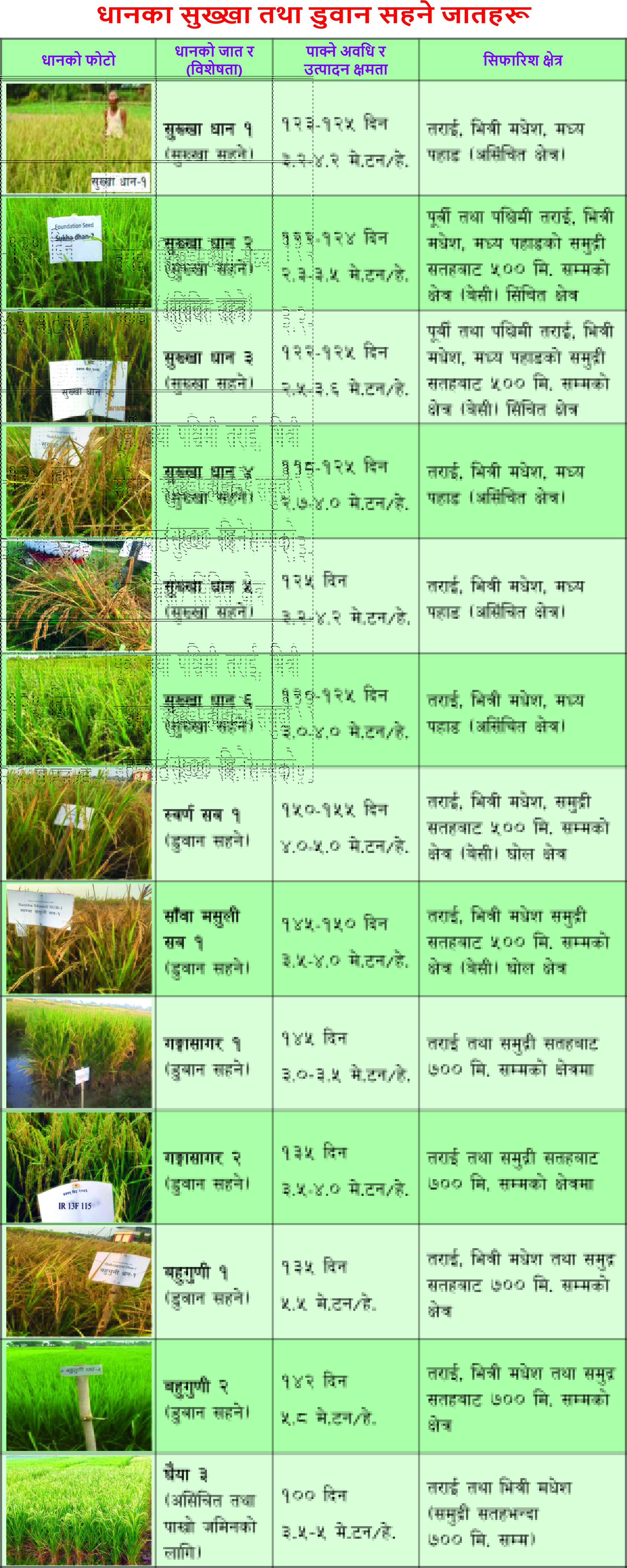 Government of Nepal