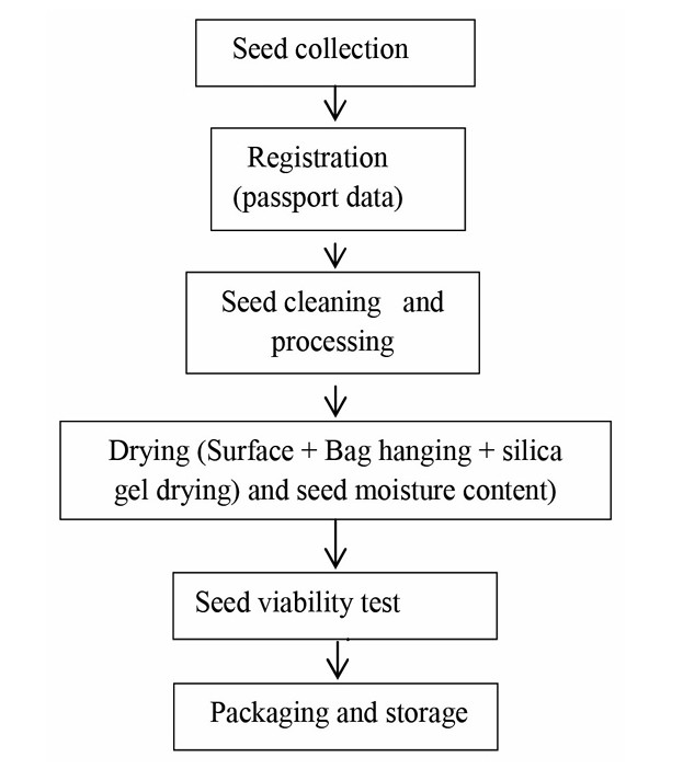 राष्ट्रिय वनस्पति उद्यान, ललितपुर, नेपालमा जंगली बीउ संरक्षण