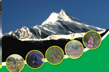 समाचार चित्र आर्थिक वर्ष २०८०/०८१ को वार्षिक प्रगति प्रतिवेदन