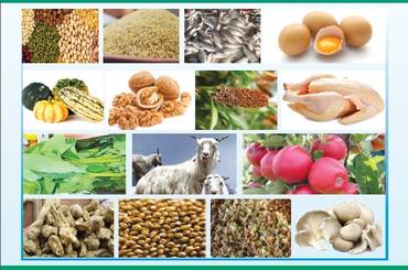 समाचार चित्र 