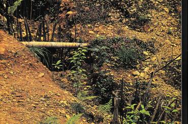 भू संरक्षण तथा जालधार व्यवस्थापनका उपाय तथा कम खर्चिलो प्रविधि नेपाली संस्करण - img