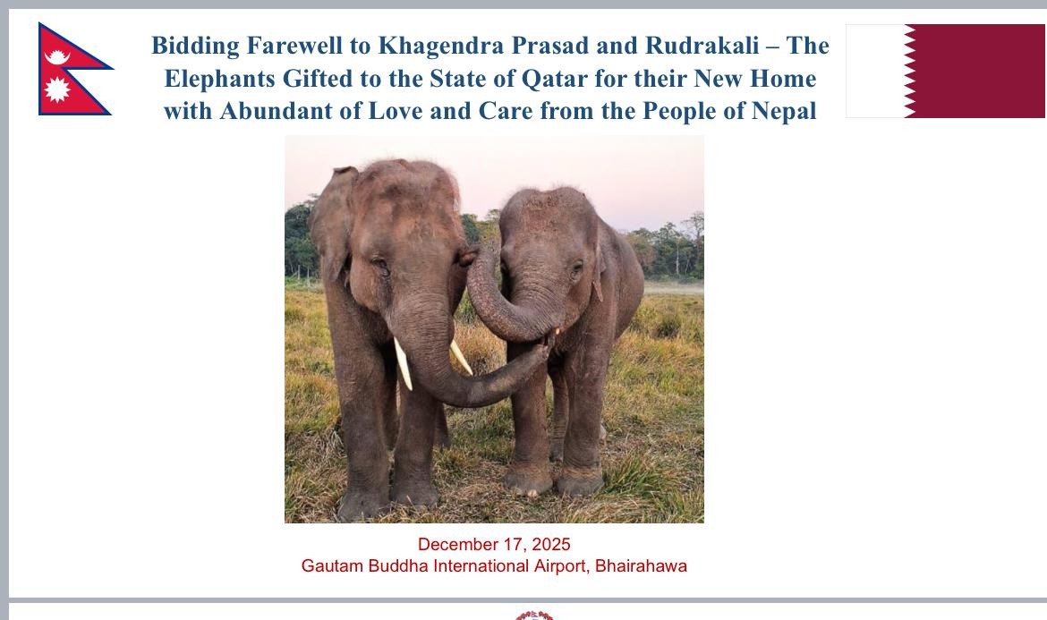 Press Release: Handover of Two Elephants to Qatar