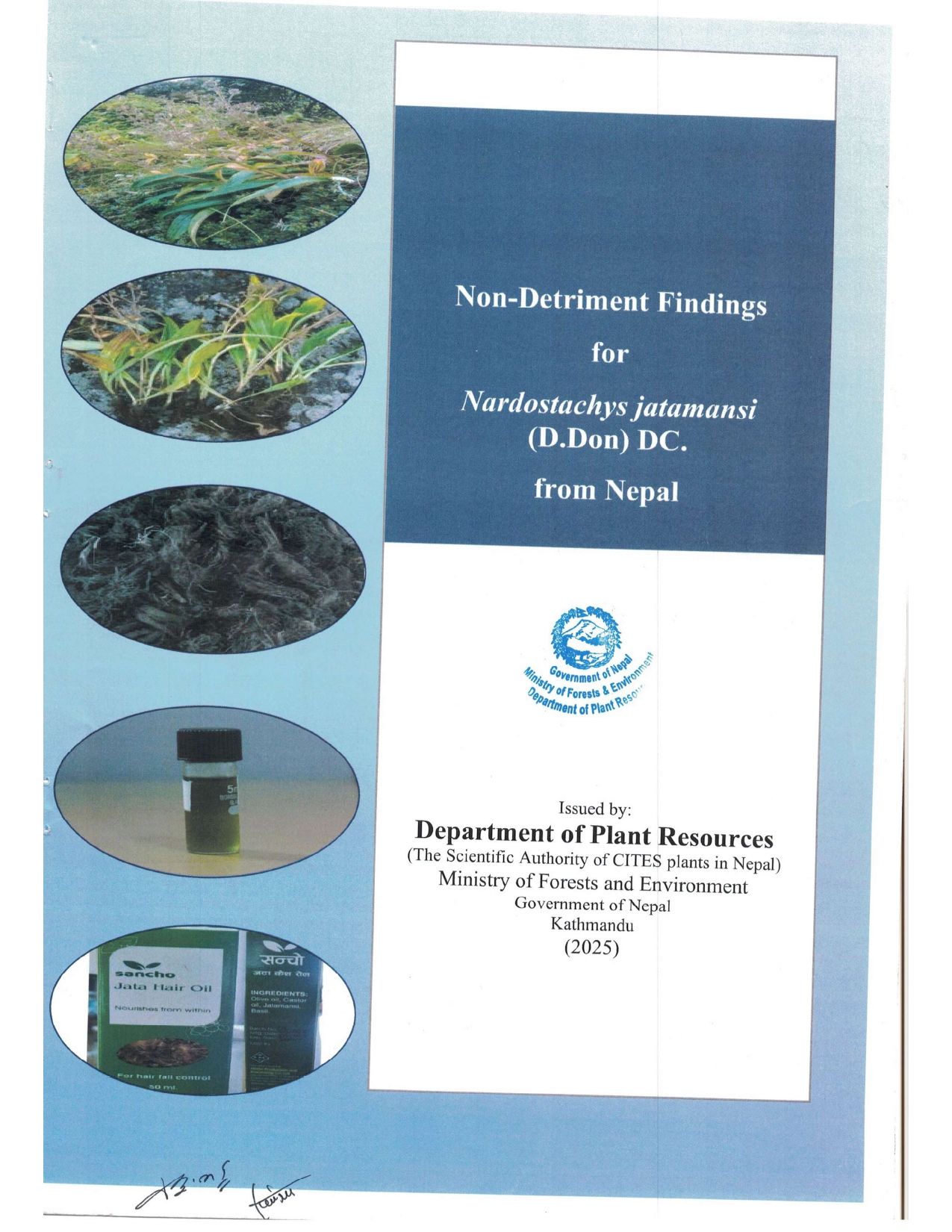 Non-Detriment Findings for Nardostachys jatamansi (D.Don) DC. from Nepal