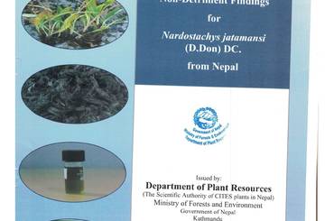 Non-Detriment Findings for Nardostachys jatamansi (D.Don) DC. from Nepal - img