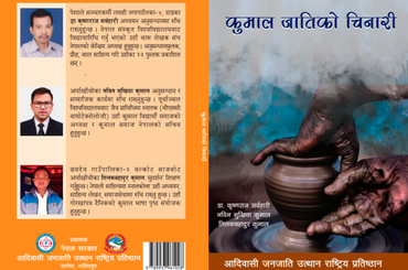 कुमाल जातिको चिनारी - img