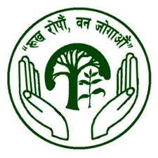 अंक १९, आर्थिक वर्ष २०८०/०८१