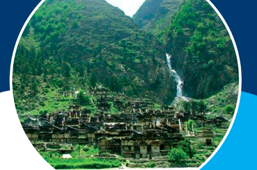 मुगाल(मुगुम) जातिको चिनारी - img