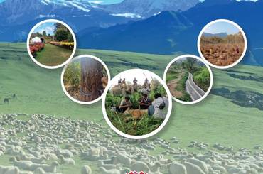 समाचार चित्र बार्षिक प्रगति प्रतिवेदन २०८१/८२