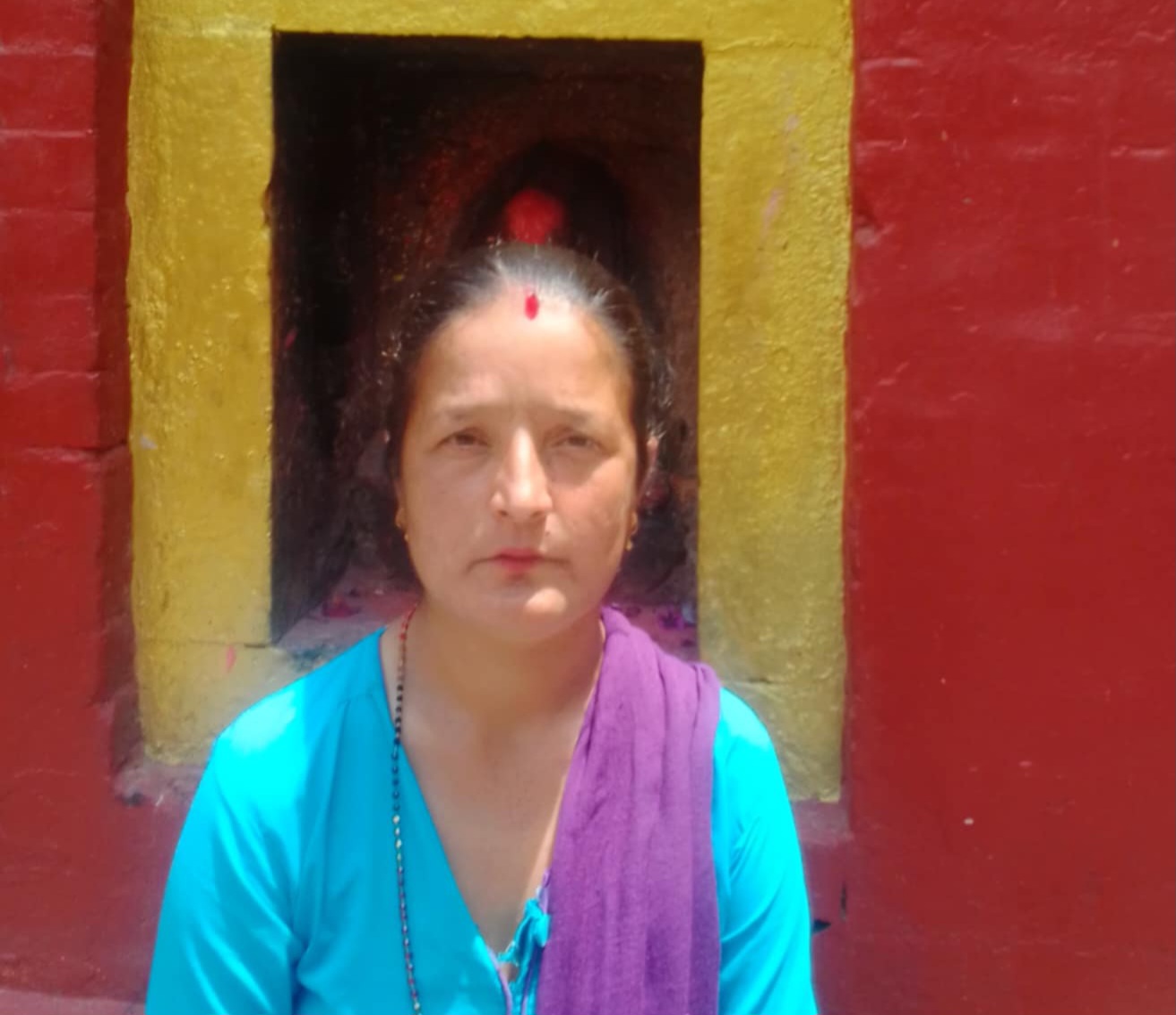 शारदा डोटेल