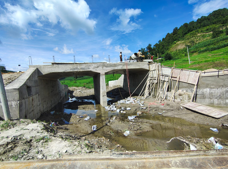 Government of Nepal