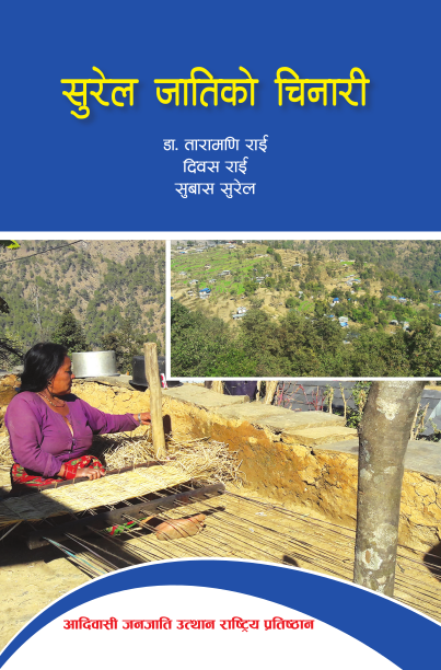 सुरेल जातिको चिनारी