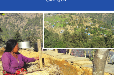 सुरेल जातिको चिनारी - img