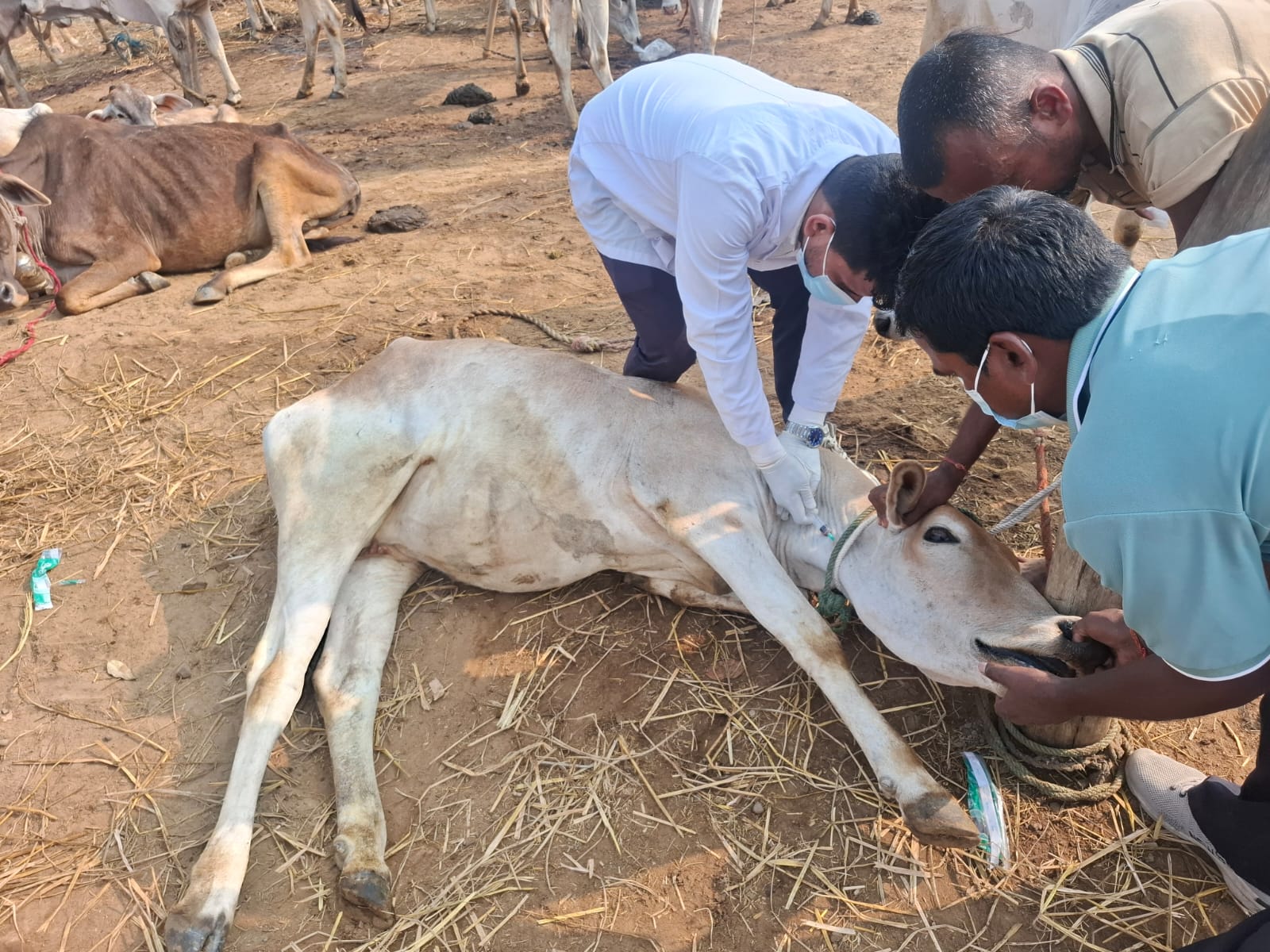 घर दैलो मा उपचार हुदै