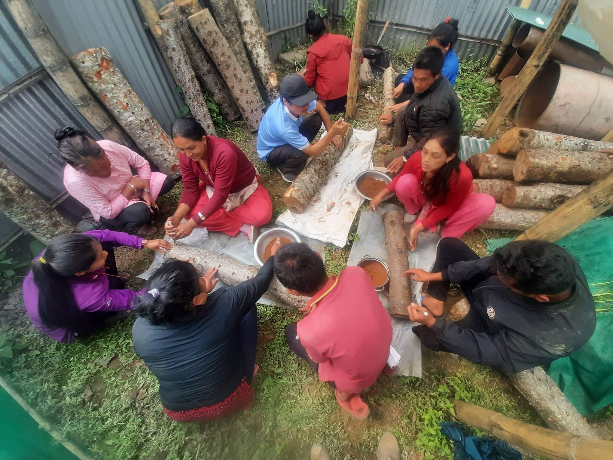 च्याउ उत्पादन गरी उद्यमी बनौं!