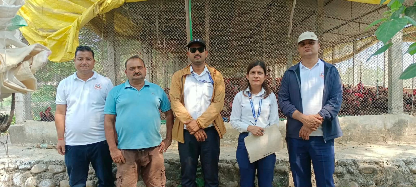 Bird flu surveillance