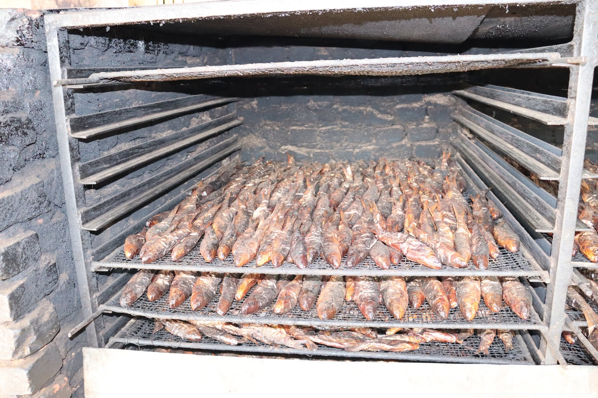 Fish Preservation Technology.