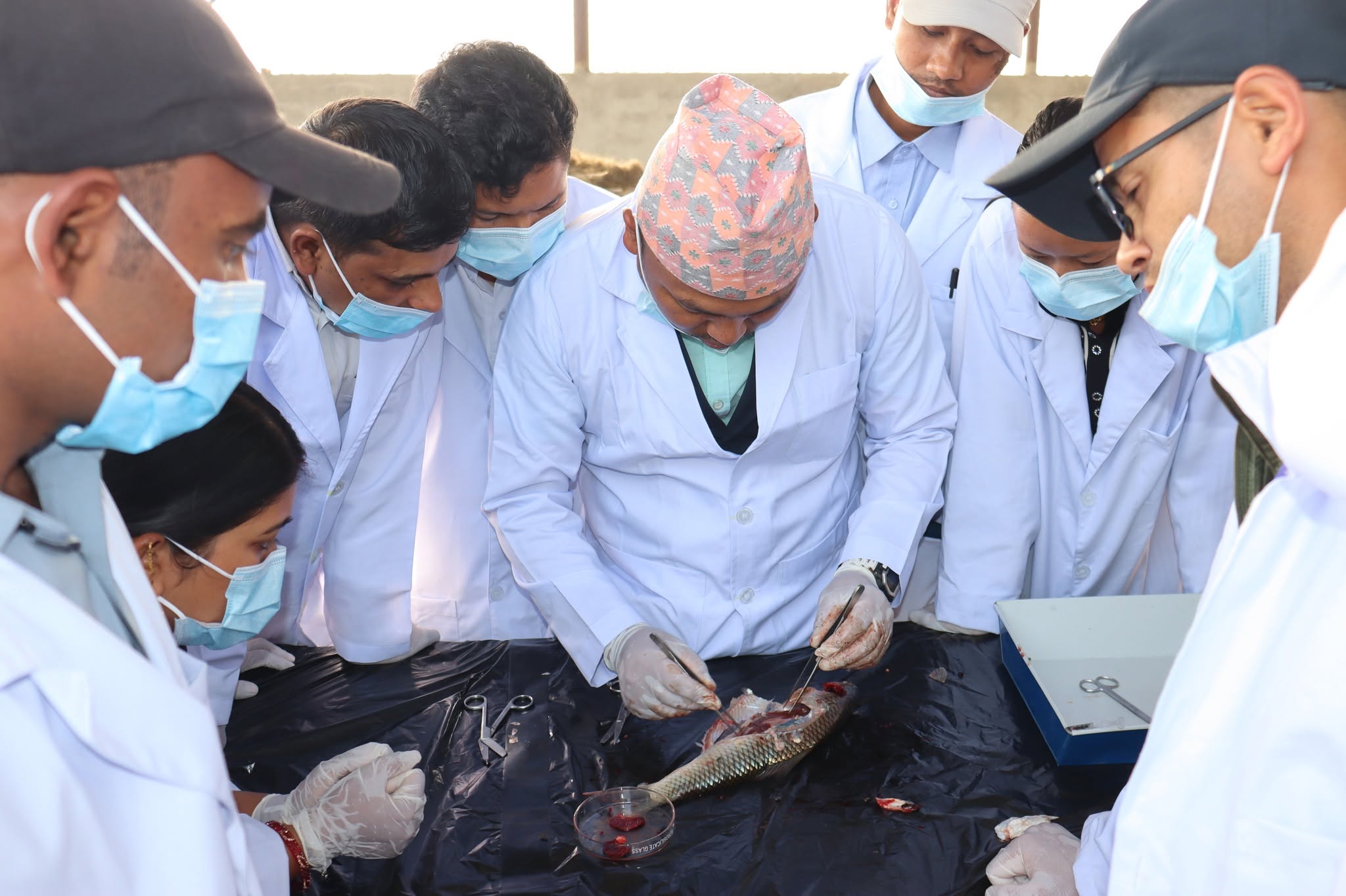 Fish Disease and Laboratory  Management Training