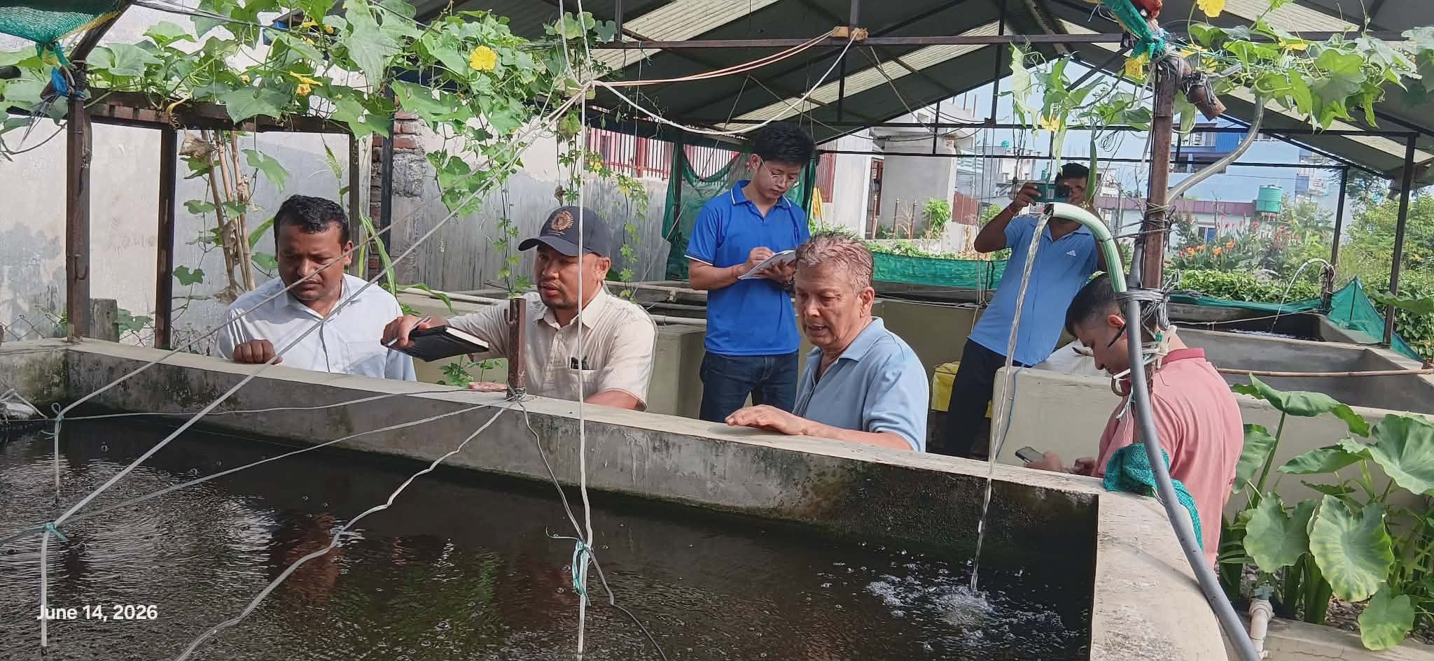 Aquaponics Farm Monitoring