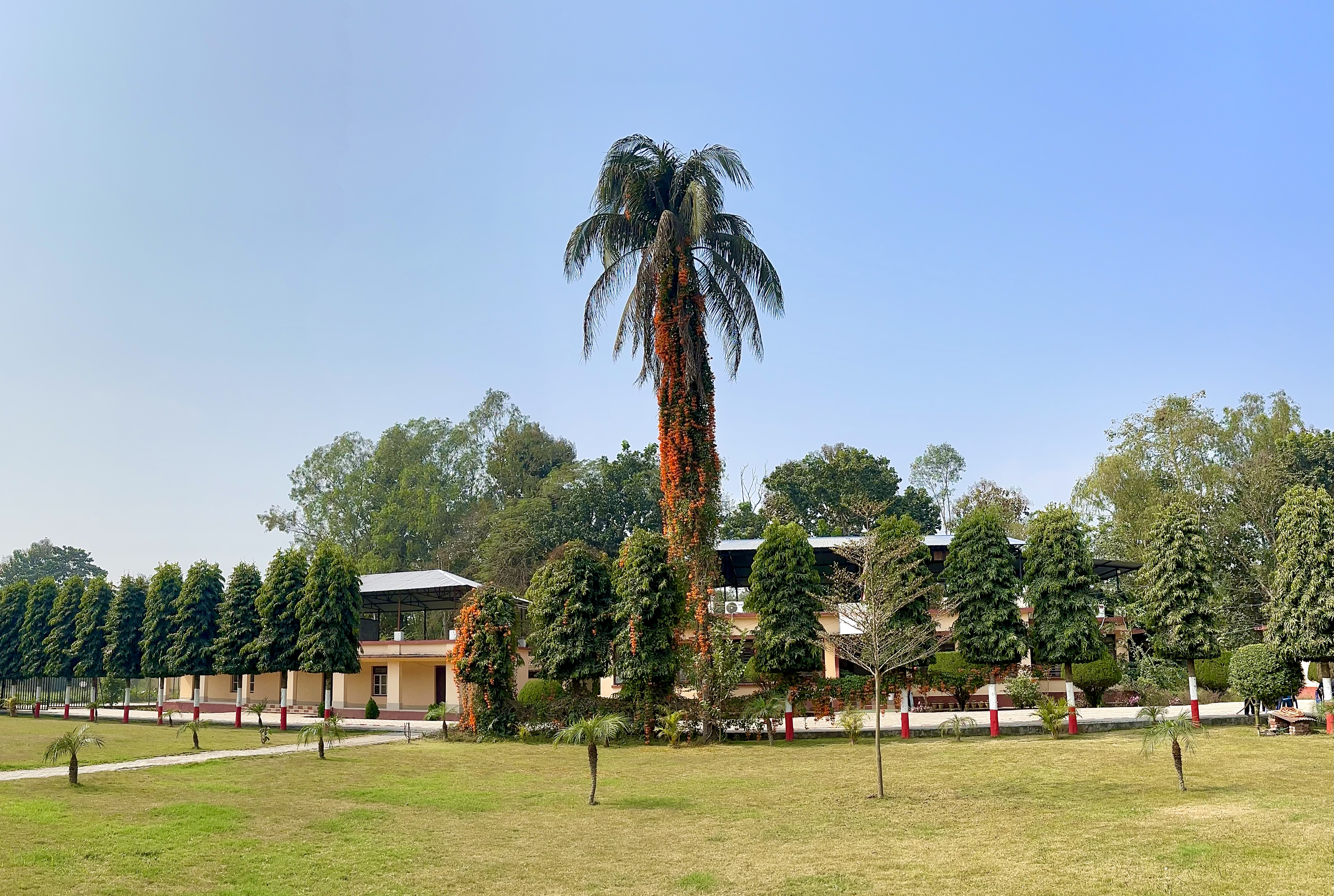 Government of Nepal