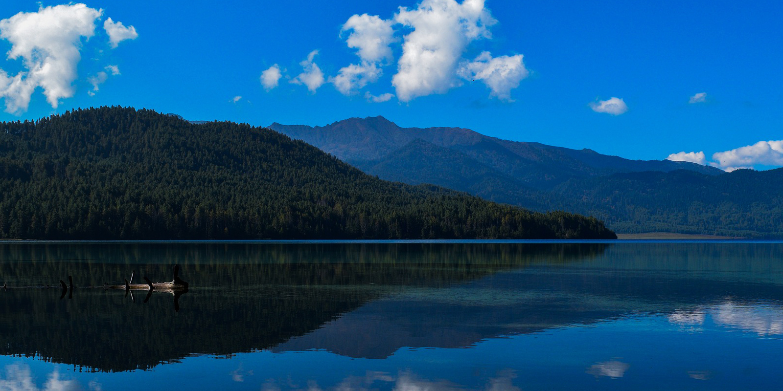 Rara
