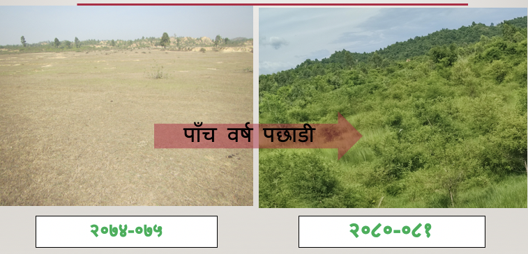 Government of Nepal