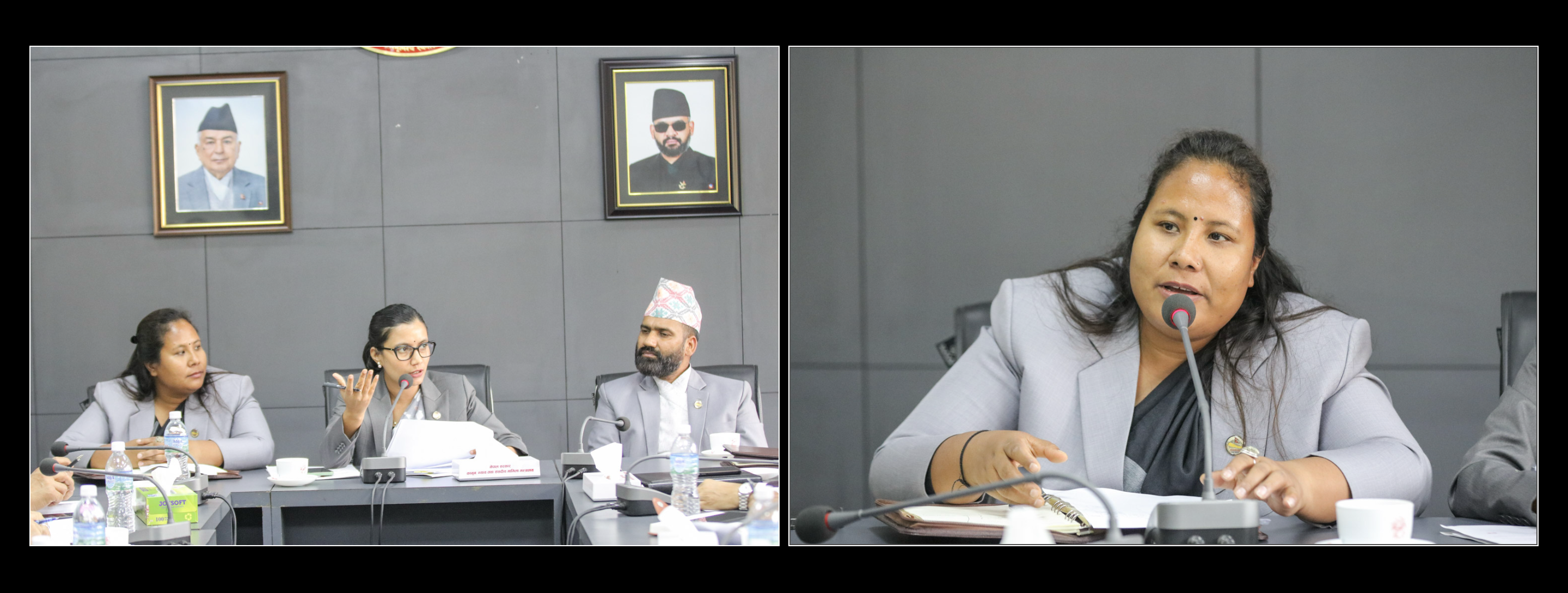 विधेयकहरुमा छलफल, आउँदो आर्थिक वर्षमा संसदमा पठाउने विधेयकको सूची  र विधेयकको प्रक्रिया