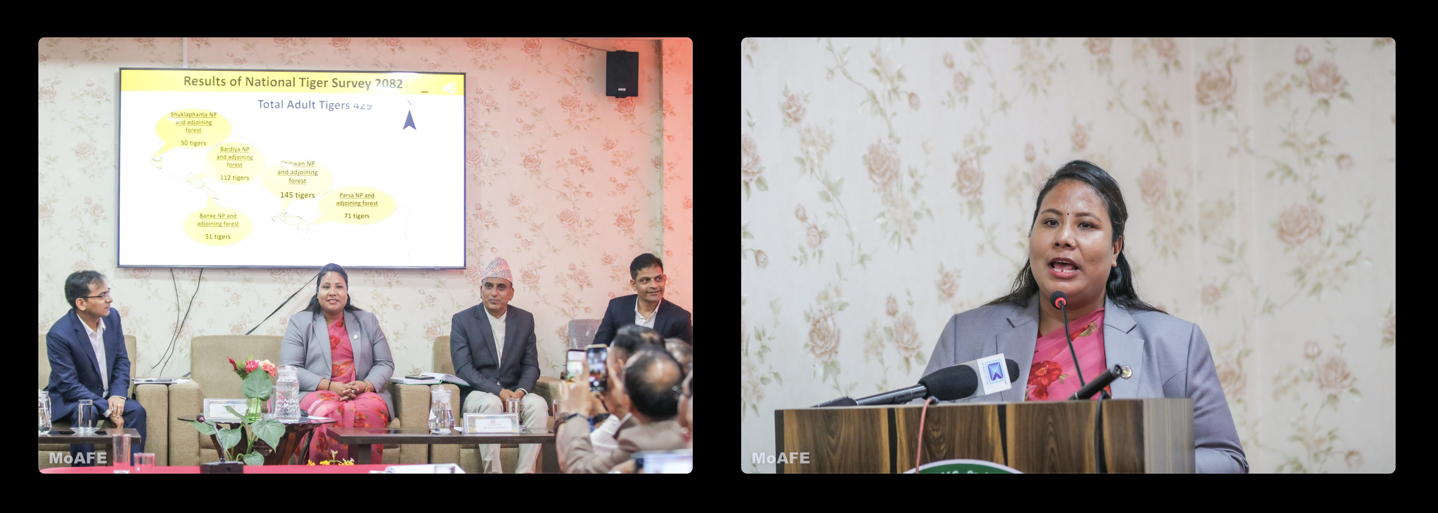 माननीय  कृषि,वन तथा पर्यावरण मन्त्री गीता चौधरीज्यूद्वारा विश्व बाघ दिवस 2026 को अवसरमा राष्ट्रिय बाघ सर्वेक्षण, २०८२ को नतिजा सार्वजनिक । नेपालमा राष्ट्रिय बाघ सर्वेक्षणअनुसार बाघको कुल संख्या बढेर ४२९ पुगेको छ । Honorable Minister for Agriculture, Forest and Environment Geeta Chaudhary released the results of the National Tiger Survey, 2025 (2082 BS) on the occasion of World Tiger Day 2026. According to the National Tiger Survey, the total number of tigers in Nepal has increased to 429