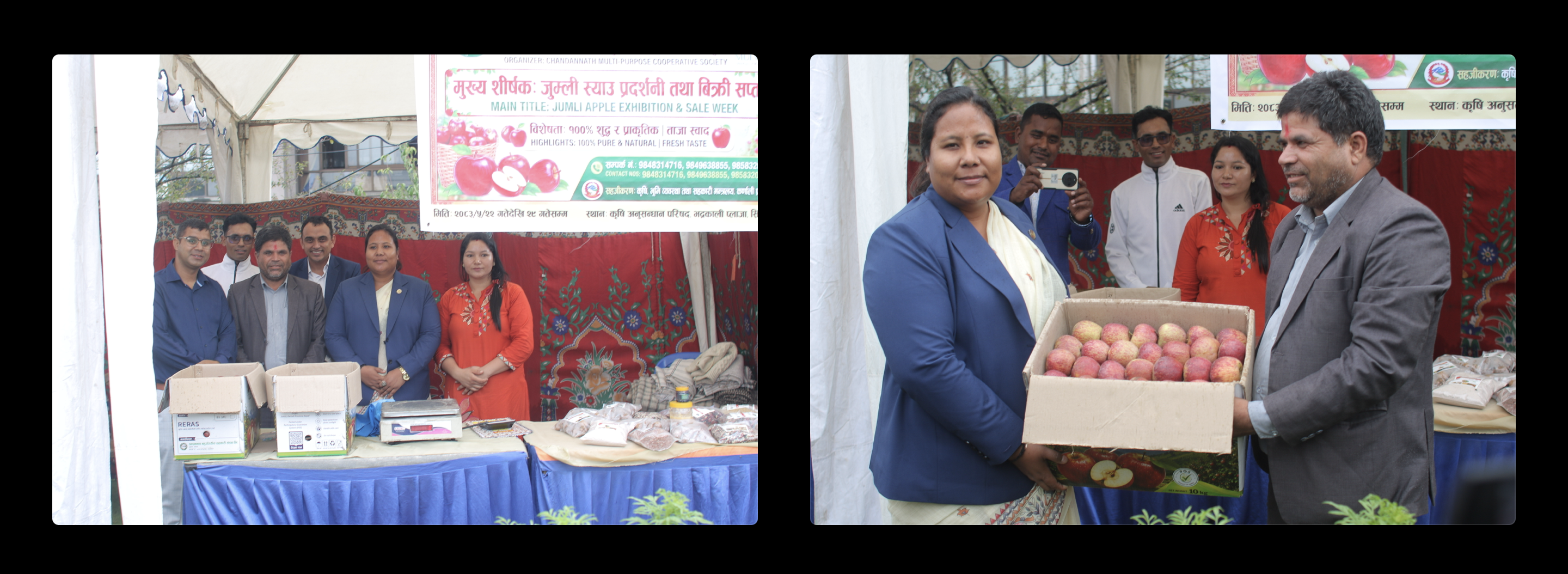 स्थानीय रैथाने उत्पादनलाई बजारसँग जोड्दै! जुम्ली स्याउको पहिचान र व्यावसायिक प्रवर्द्धनका लागि माननीय कृषि, वन तथा पर्यावरण मन्त्री गिता चौधरीको प्रतिबद्धता।