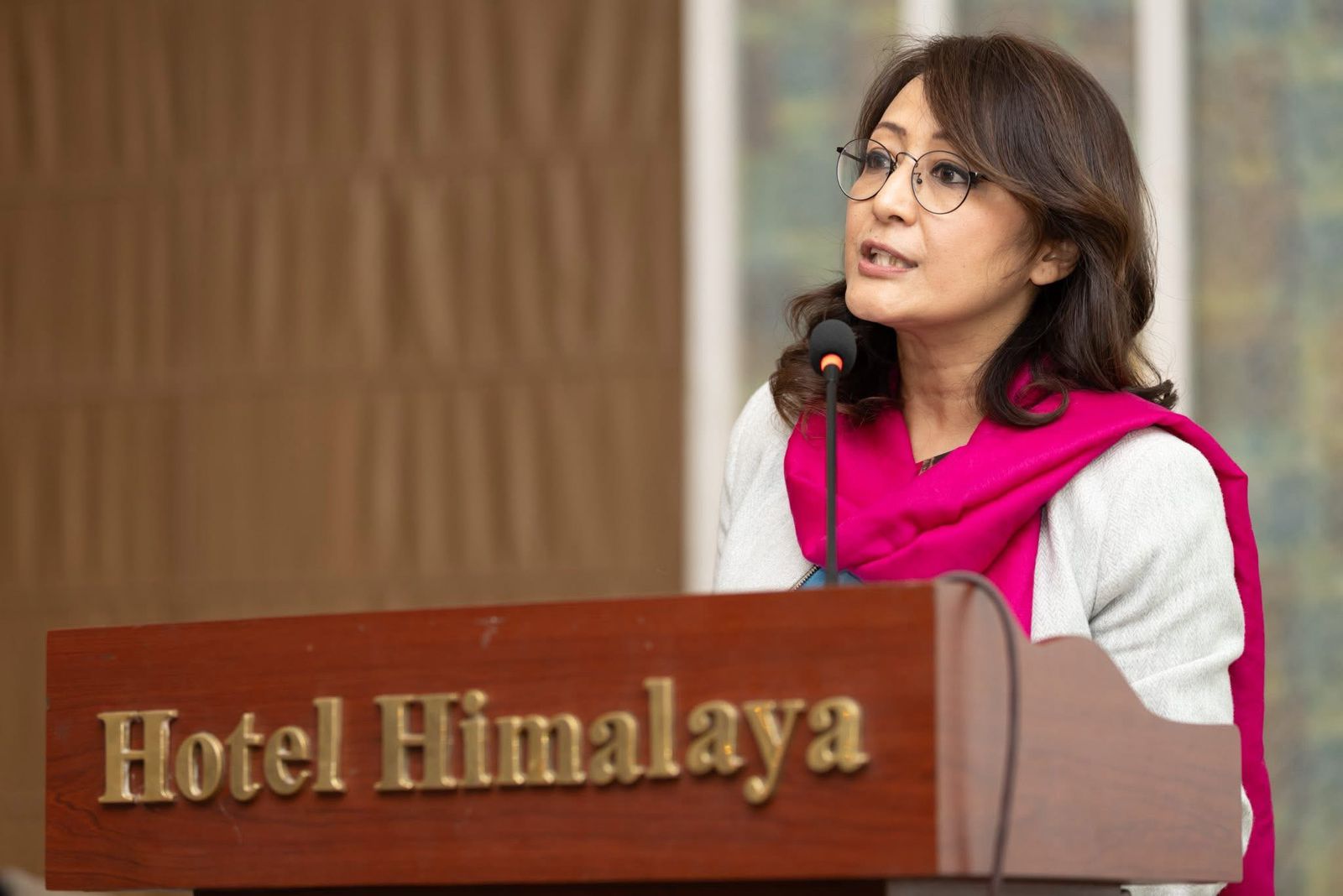 माननीय मन्त्री श्रद्धा श्रेष्ठज्यू अन्तर्राष्ट्रिय गैरसरकारी संस्था महासंघ (AIN)द्वारा आयोजित अन्तरक्रिया कार्यक्रमलाई  सम्बोधन गर्नुहुदै