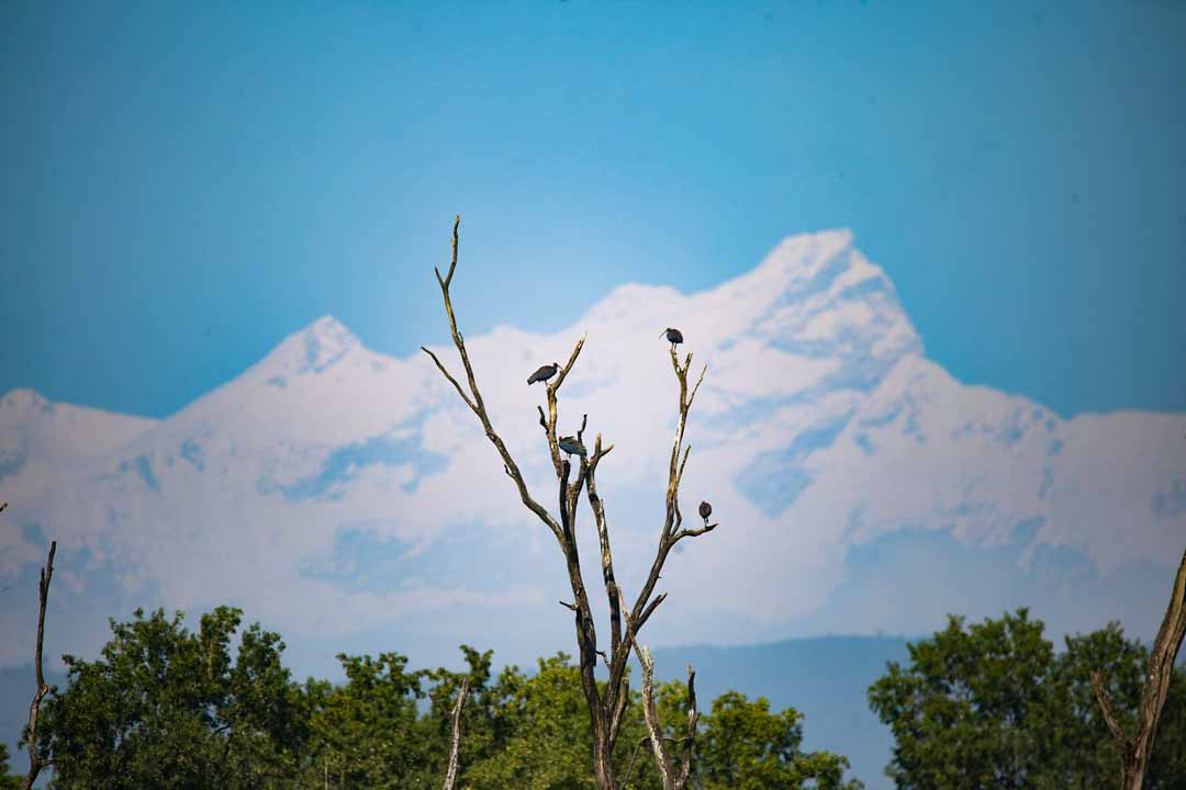 Government of Nepal