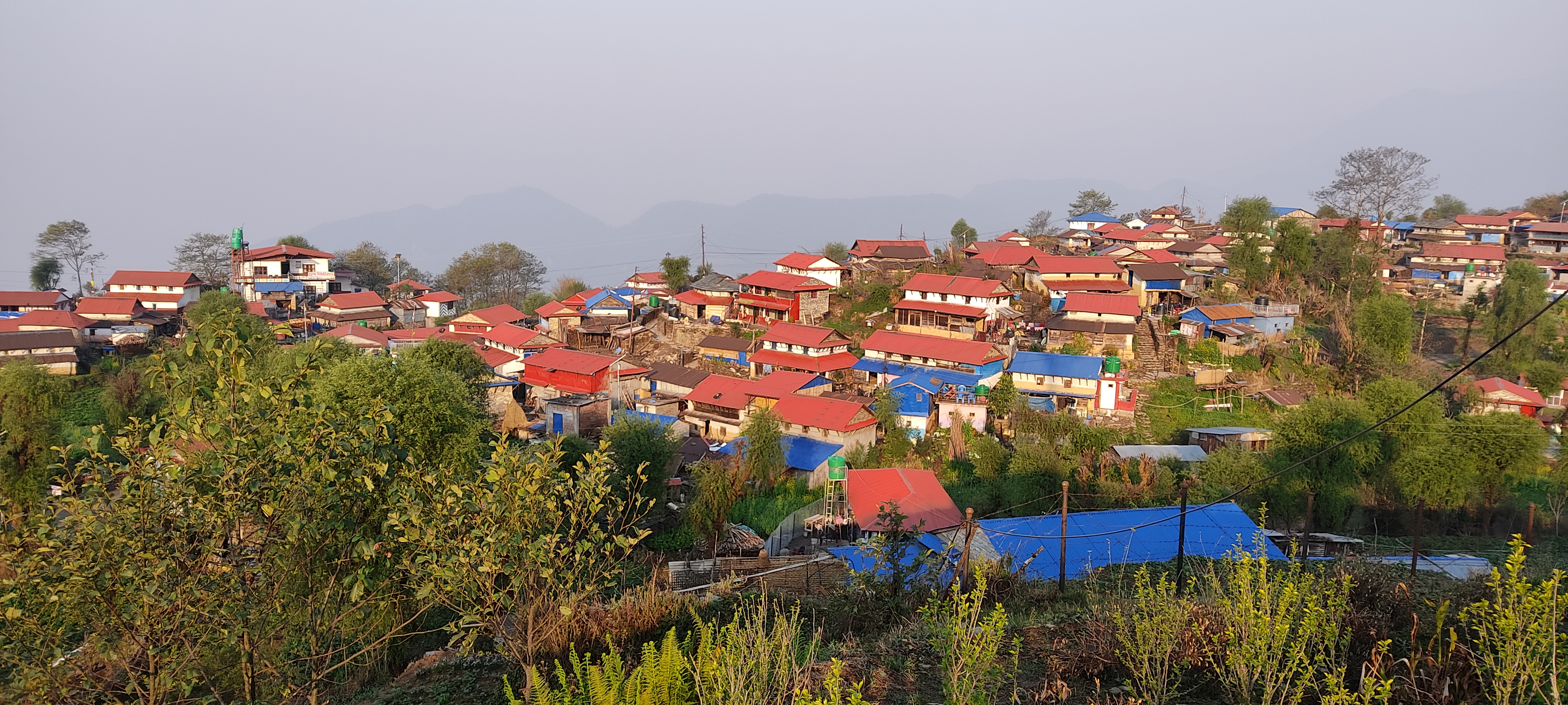 Government of Nepal