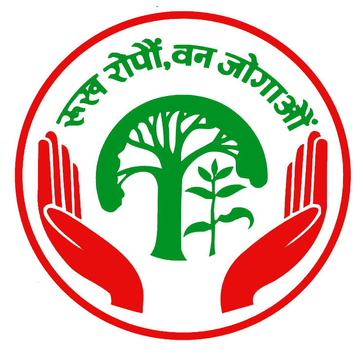 logo/dfologo_wf1daam.png