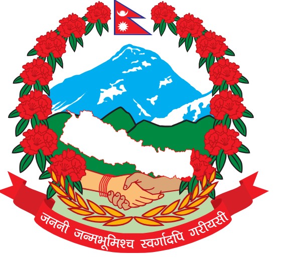 Department of Information Technology