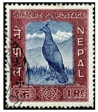 टिकट व्यवस्थापन