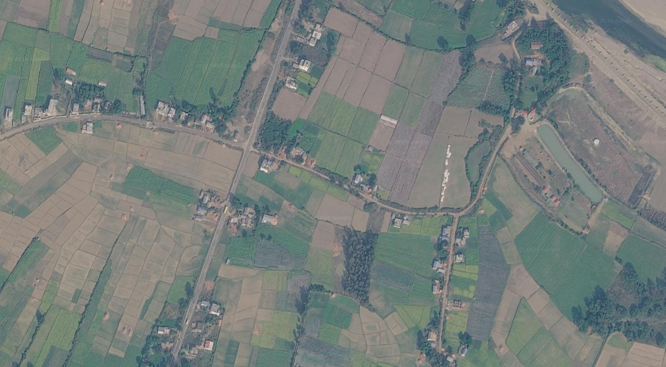 फिल्ड रेखांकन