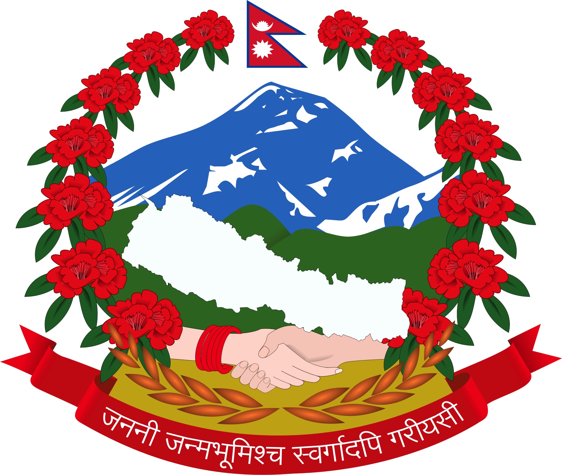 दैनिक ओपिडी तालिका
